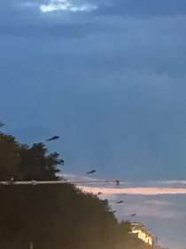冬秋夏春