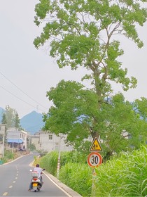 長途漫漫，慢慢遇見