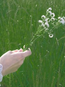 秋風(fēng)蕭瑟秋風(fēng)今又是