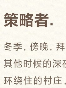 策略者