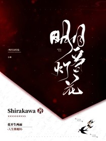 明月寄燈花