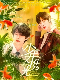 BTS：少年又携光