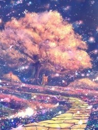 道菲：生命的一道光