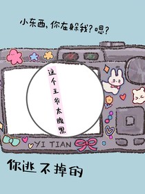 穿书之这个王爷太腹黑