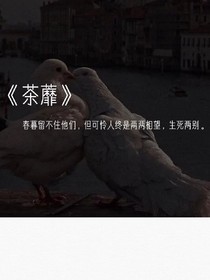 荼靡不薄相思