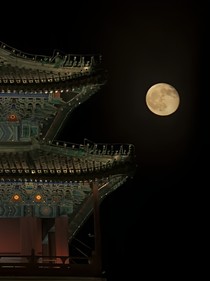 我对你的爱永远都没有变-d802