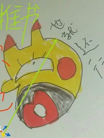 各種集郵冊