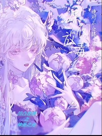 凹凸世界之神圣的光