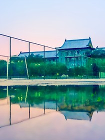 傻人的福