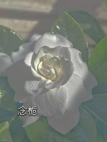 念栀