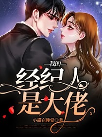 我的经纪人是大佬