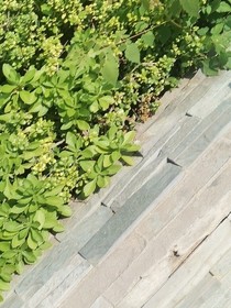 无聊的睡前短打
