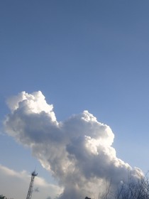 爱他，但不完全爱他