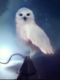 hp：供养