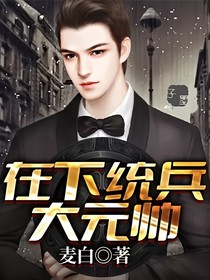 在下统兵大元帅