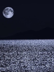 孤独是上天给予的赠礼