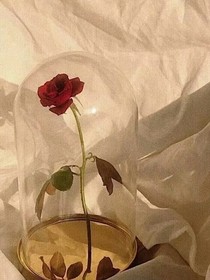 故事很短，有点伤感