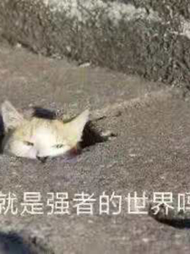 光遇子吹沐笙