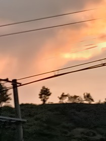 早已動情