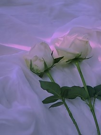 限定于你
