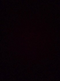 小花仙：仅此而已