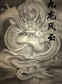 九龙风云