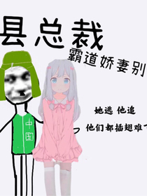 曹縣總裁，霸道嬌妻別鬧