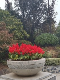 我有一家此间客栈