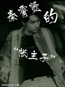 秦霄賢的帳主子-d091