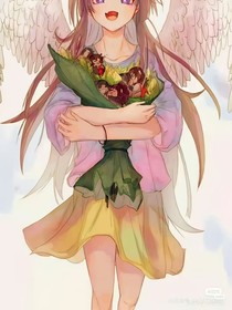 织梦a