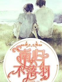 南归不落羽