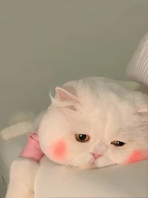 肖戰(zhàn)之星耀
