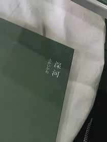 凹凸世界：迷失者