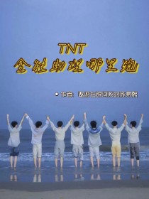 TNT：全能助理哪里跑