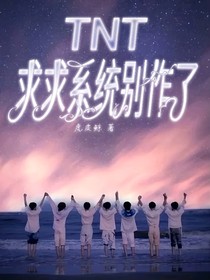 TNT：求求系统别作了