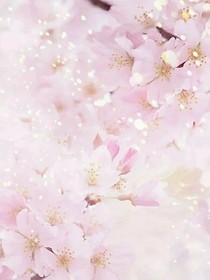 朵星：我欠你一場雨