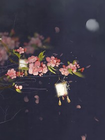 簪花小記
