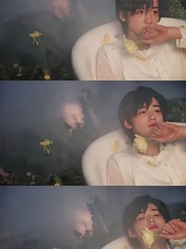 all轩：攻略计划进行时