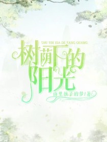 樹蔭下的陽光（日常）