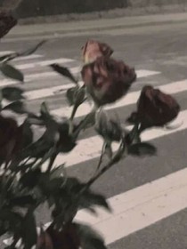 没有味道的暗恋