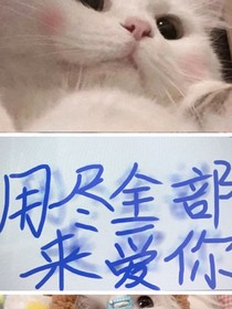 用尽全部来爱你