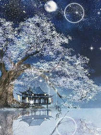 快穿之请你不要太偏执