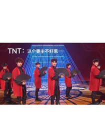 TNT：这个妻主惹不起