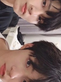 谁说狼王不可以拥有小熊