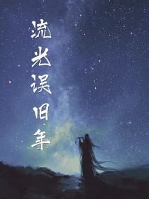 流光误旧年