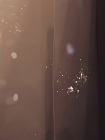我撿了只白眼狼？