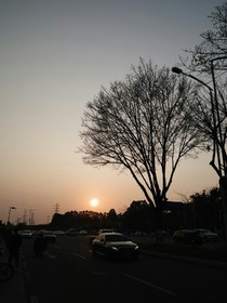 只是尽黄昏-d565