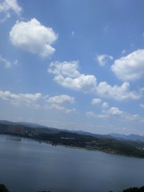 鱼屿木