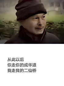 完美犯罪探案集
