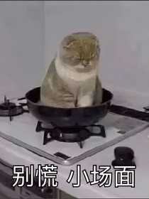 這人設讓我TM直接當場去世